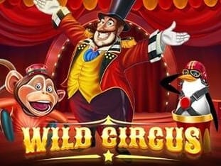 Wild Circus game cover